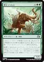 総合ページ▽マンモスさん Amazon.co.jp: マジックザギャザリング DFT JP 0153 僭王